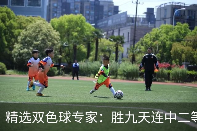 精选双色球专家：胜九天连中二等和5+1揽300万