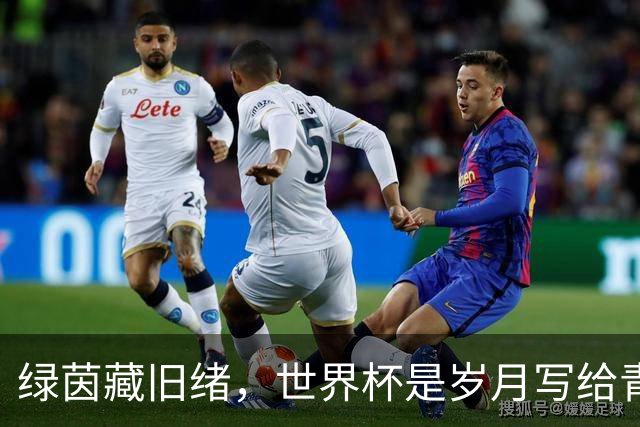 绿茵藏旧绪，世界杯是岁月写给青春的信