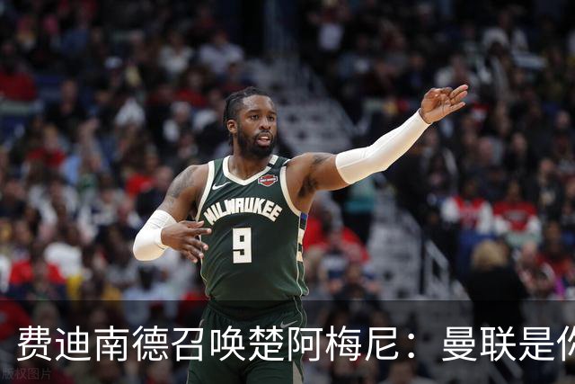 费迪南德召唤楚阿梅尼：曼联是你的唯一归宿，想成事的话就来吧！